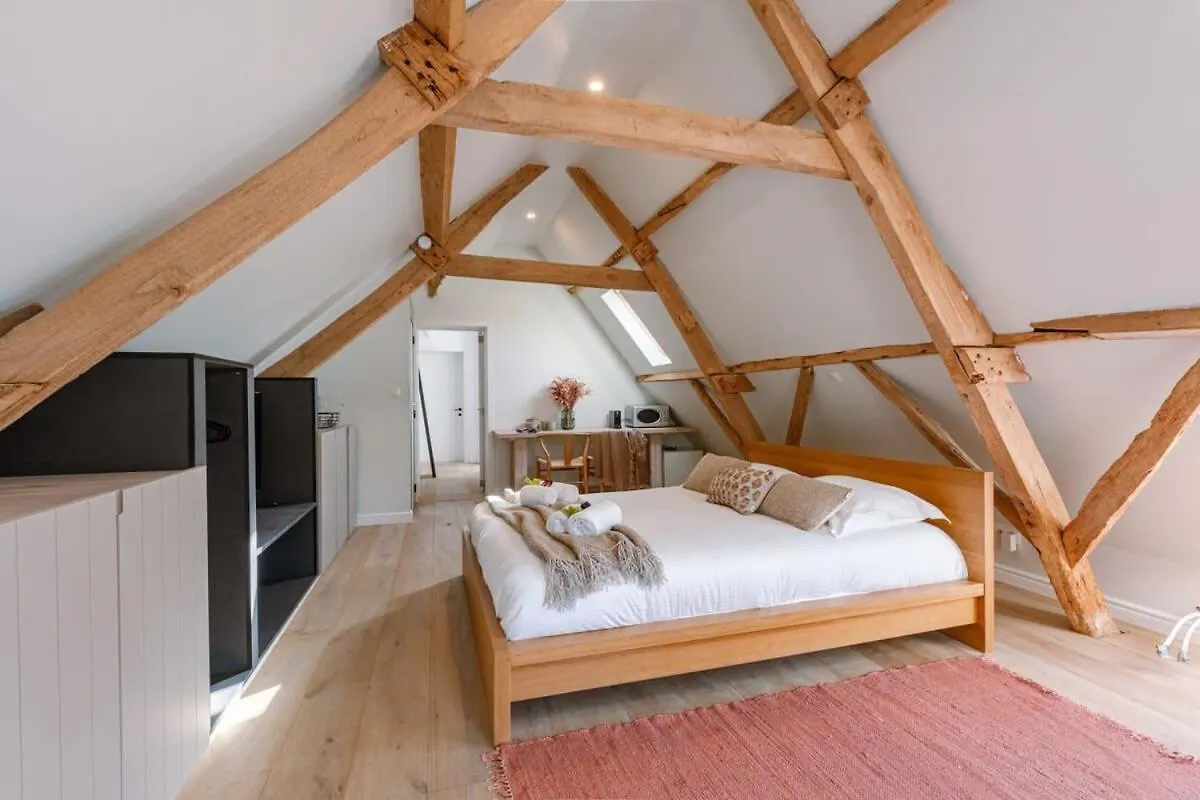 Huswell - Charming Room In The Green Neighbourhood Of Gent België